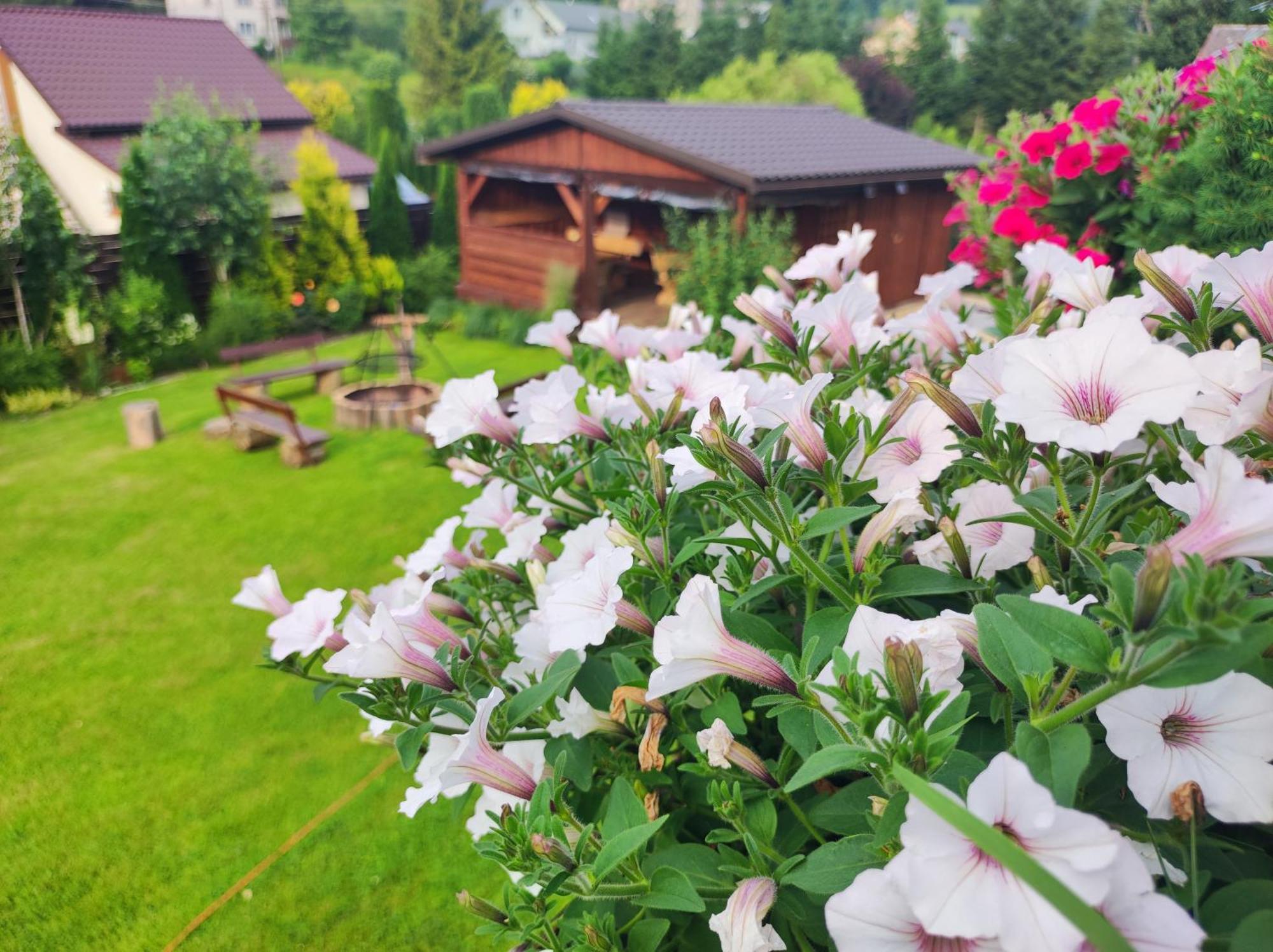 Dom Kowala Villa Jankowce Exteriör bild